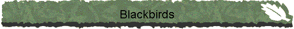 Blackbirds, Orioles, Finches