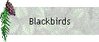 Blackbirds