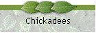 Chickadees