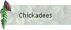 Chickadees