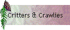 Critters & Crawlies