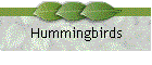 Hummingbirds