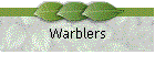 Warblers