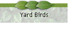 Yard Birds