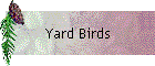 Yard Birds